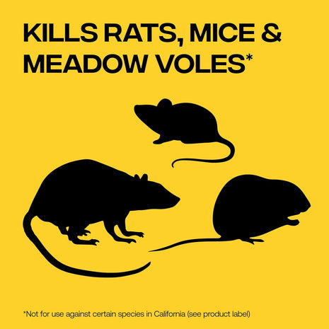 Victor Rat Poisoning for Inside & Outdoor Use - Kills Rats, Mice, Meadow Voles, Mouse Poisoning for Indoor & Outside Areas, Ready-to-Use, Yellow, M925, 4 lbs