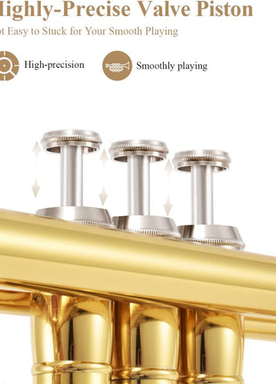 Eastar Bb Standard Trumpet Set for Beginner, Brass Student Trumpet Instrument with Hard Case, Cleaning Kit, 7C Mouthpiece and Gloves, ETR 380, Golden