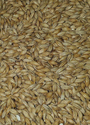 2-Row Brewers Malt for Home Brewing Whole Grain 10lbs