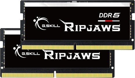 G.SKILL Ripjaws DDR5 SO-DIMM Series DDR5 RAM 64GB (2x32GB) 4800MT/s CL40-39-39-76 1.10V Unbuffered Non-ECC Notebook/Laptop Memory SO-DIMM (F5-4800S4039A32GX2-RS)