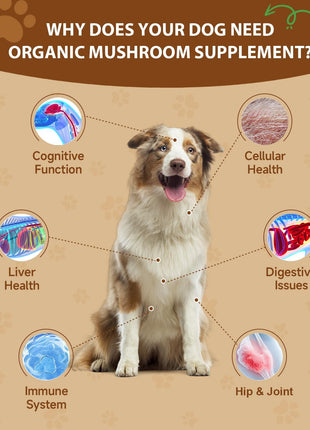 Turkey Tail for Dogs - 9 Organic Mushroom Supplement, Turkey Tail Mushroom for Dogs - Gut, Skin, Joint, Immune Health- Dog Lumps & Bumps