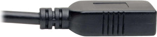 TRIPP LITE USB C to USB-A Cable 3.1 5 Gbps Type C, 3' (U428-C6N-F)