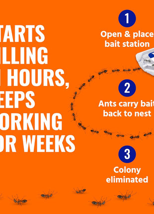 Terro, Ant Killer Bait Stations T300B - Liquid Bait to Eliminate Ants - Bait System - Stations for Effective Indoor Ant Control, 12 Count | Borax Formula, Kills the Queen & the Entire Colony, Liquid Ant Baits Indoor, Kills Household Ants, Indoor Use