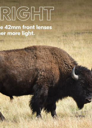 Nikon PROSTAFF P3 8x42 Binocular | Waterproof, fogproof, rubber-armored Full-Size Binocular, wide field of view & long eye relief | Official Nikon USA Model | Waterproof, fogproof, wide field of view, long eye relief, rubber-armored Full-Size Binocular