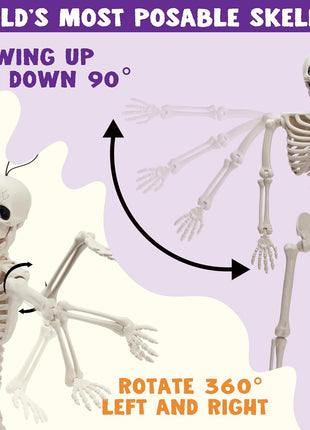 JOYIN 5 PCS Posable Halloween Skeleton Decor 16 Inches, Full Body Posable Joints Hanging Skeletons for Halloween Decorations, Graveyard Props, Haunted House Accessories, Spooky Scene Party Favors