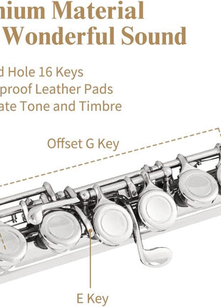 Closed Hole C Flute 16 Keys Instrument for Student Beginners with Cleaning Kit, Stand, Carrying Case, Gloves and Tuning Rod