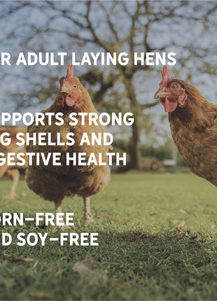 New Country Organics | Corn-Free Classic Layer Chicken Feed for Laying Hens | Corn-Free and Soy-Free | 17% Protein | Certified Organic and Non-GMO Chicken Food | 25lbs Bag