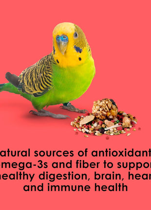 Kaytee Fiesta Parakeet Food, Nutritious and Fun Blend, Supports Skin, Feather, Digestion, Brain and Heart Health, 2 pounds