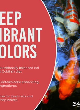Blue Ridge Koi Fish Food 5lb - Koi Food Mini Growth Formula, Goldfish Food, Premium Fish Food for Ponds, Ponds Fish Food, Floating Pond Pellets