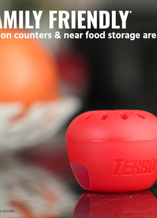 TERRO Fruit Fly Traps for Indoors (4 Pack) + 180 Days of Lure Supply