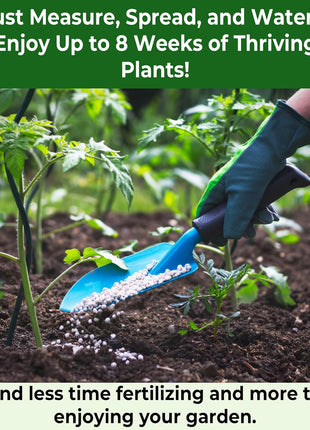 10-10-10 Plant Fertilizer Slow Release - 10 10 10 All Purpose Granular Garden Fertilizer for Vegetables, Tomato, Arborvitae, Shrubs, Rose, Flowers, Fruit, Fig Trees (1/2 Quart)