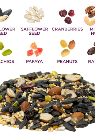 Audubon Park Nut & Fruit Wild Bird Seed – 15 lb. Premium Blend with Sunflower Seeds, Peanuts, Safflower & Dried Fruit – Bird Food for Outside Feeders