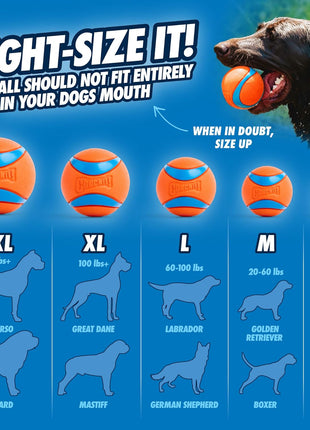 Chuckit! Ultra Ball Dog Toy - Medium Bouncy Fetch Balls For Dogs 20-60 lbs - Made from Durable Rubber - Floating Water Pet Toys - Size Medium - 2.5-inch Diameter - Pack of 2