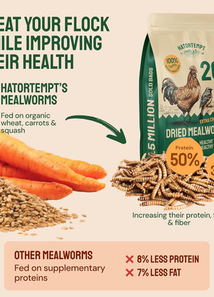 Hatortempt Bulk Dried Mealworms - 10 Lb Bag - Non-GMO Dried Mealworms for Chickens, Ducks & Wild Birds - High-Protein Chicken Feed & Bird Food