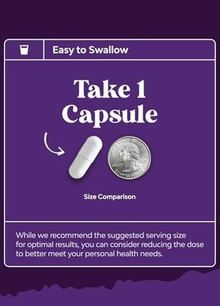 Bundle of Nootropic Memory Supplement for Brain Support - Memory Pills for Brain Boost and Natural Energy Booster, Sam-E 200mg Mood Support Supplement for Brain Support and Liver Detox Cleanse