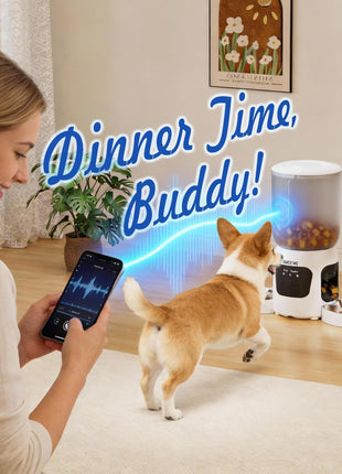 Dual-Lens Cat Feeder with Camera for 2 Cats, 6L Automatic Dispenser