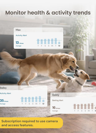 Furbo 360° Dog Camera + Mini [New Subscription Required at Setup] 2-Camera Bundle Nanny Subscription: Dog Safety & Home Security Alerts, Pet Camera with Speaker, Phone App & Night Vision