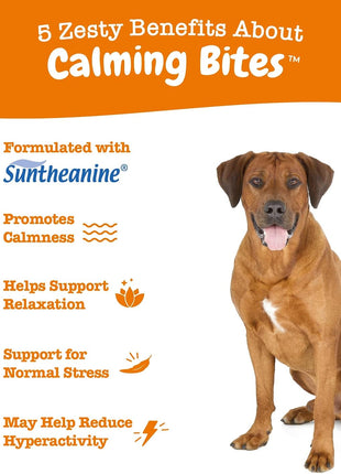 Zesty Paws Calming Soft Chews for Dogs - Melatonin, Ashwagandha, L-Theanine & L-Tryptophan + Scoot Away Soft Chews for Dogs - with Bromelain