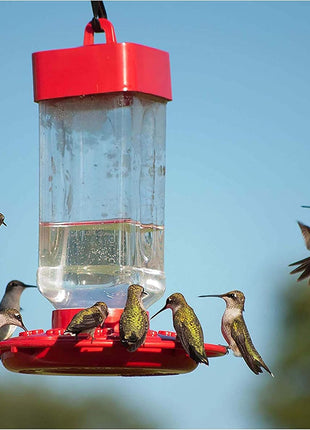 Kaytee Hummingbird ElectroNectar Wild Bird Food, Ready to Use, 64 Ounces