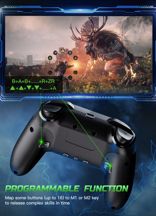 VOYEE Switch Controllers Compatible with Switch/Lite/OLED/PC Windows, Programmable RGB Lightning LED, Wireless Pro Controller with One Key Pairing/Wake Up/Turbo/Vibration
