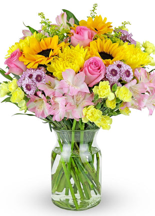 Benchmark Bouquets - Rays of Sunshine (Glass Vase Included) - Fresh Flowers for Next Day Delivery - Gift for Birthday, Anniversary, Get Well, Sympathy, Congratulations