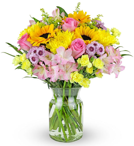 Benchmark Bouquets - Rays of Sunshine (Glass Vase Included) - Fresh Flowers for Next Day Delivery - Gift for Birthday, Anniversary, Get Well, Sympathy, Congratulations