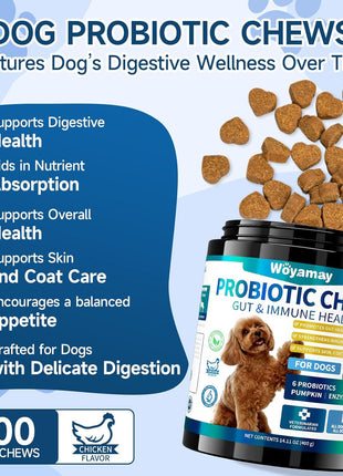 Dual-Action Dog Probiotics & Allergy Relief Chews - 200 Soft Treats for Gut Health, Itchy Skin, Diarrhea & Gas with Probiotics, Omega 3, Turmeric, Colostrum | Immune & Coat Support for Dogs