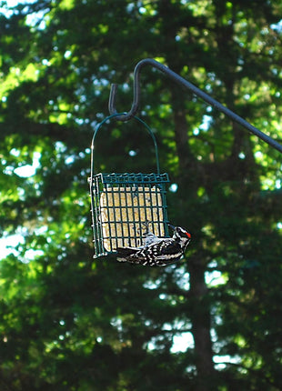ST. ALBANS BAY SUET PLUS High Energy Suet Cakes, 20 Pack of 11 oz. Suet Cakes for Wild Birds