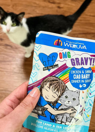 Weruva B.F.F. OMG - Best Feline Friend Oh My Gravy!, Rainbow A Gogo Variety Pack! Cat Food, 3oz Pouch (Pack of 12)
