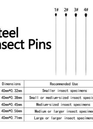 WILLBOND Stainless Steel Insect Pins Kit Specimen Entomology Pins Butterfly Collections Variety Pack for School Entomology Display Butterfly Collectors (500 Pieces,5 Sizes)