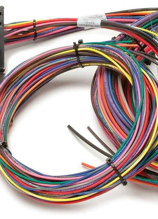 Painless Performance 50001 Race Only Chassis Harness, 10-Circuit