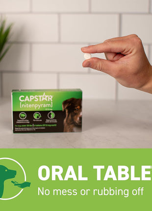 Capstar for Dogs (nitenpyram), Fast-Acting Oral Flea Treatment for Dogs Over 25+ lbs, Vet-Recommended Flea Medication Tablets Start Killing in 30 Minutes, 6 Doses