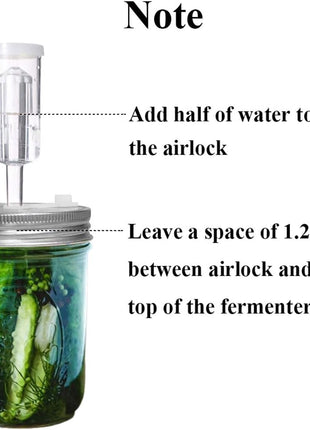 Fermentation Lids, 6 Set Fermentation Kit for Wide Mouth Jars, 6 Stainless Steel Fermenting Lids with 6 Silicone Grommets, 6 Airlocks, 6 Silicone Rings(Jars Not Included)