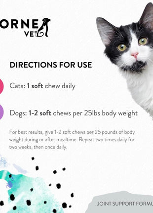 B ComplexVet, Canine Basic Nutrients, and Joint Support Formula Soft Chews Bundle