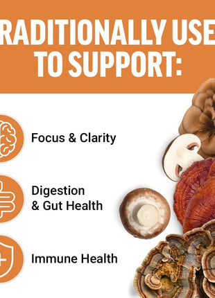 Force Factor Modern Mushrooms Soft Chews, Mushroom Supplement with Lions Mane, Turkey Tail, & Cordyceps to Support Energy, Focus, Immunity, & Digestion, Cinnamon Roll, 60 Soft Chews, (Pack of 2)