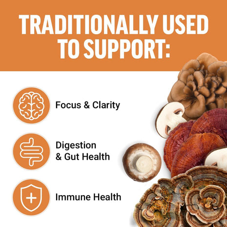 Force Factor Modern Mushrooms Soft Chews, Mushroom Supplement with Lions Mane, Turkey Tail, & Cordyceps to Support Energy, Focus, Immunity, & Digestion, Cinnamon Roll, 60 Soft Chews, (Pack of 2)
