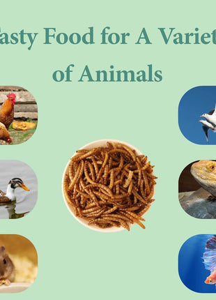 2LB Dried Mealworms for Poultry, Wild Birds,Tasty Bird Food