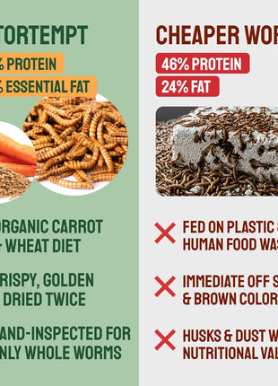 Hatortempt Bulk Dried Mealworms - 10 Lb Bag - Non-GMO Dried Mealworms for Chickens, Ducks & Wild Birds - High-Protein Chicken Feed & Bird Food