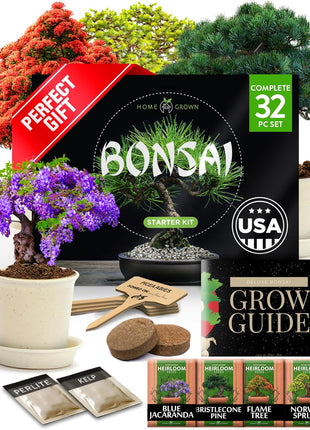 Bonsai Tree Kit Gifts for Men & Women - Grow 4 Bonsai Trees - Unique Gardening Crafts for Adults, DIY Hobbies for Plant Lovers & Gardeners - Unusual Christmas Gift Ideas for Mom & Dad