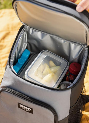Igloo Maxcold Ice Block