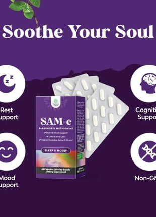 Bundle of Nootropic Memory Supplement for Brain Support - Memory Pills for Brain Boost and Natural Energy Booster, Sam-E 200mg Mood Support Supplement for Brain Support and Liver Detox Cleanse