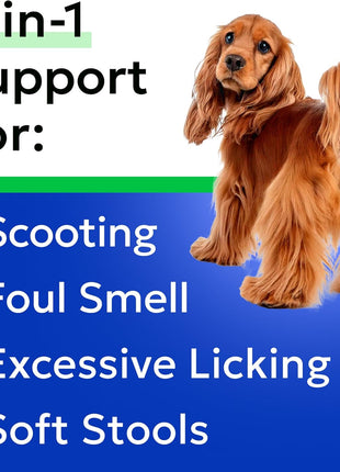 Anal Gland Guard Support + Allergy Relief Chews Bundle - Scoot Treatment - Dry & Itchy Skin Relief - Itching, Paw Licking & Hot Spots - Digestive Enzymes & Breath Aid Support - Made in USA