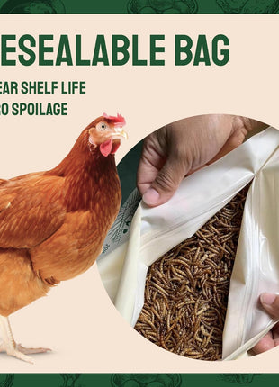 Hatortempt Dried Mealworms - Non-GMO & Organic - High-Protein Mealworms for Wild Bird Food, Ducks & Chickens (5lb)