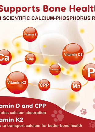 Probiotics for Dogs Bundle with Glucosamine for Dogs