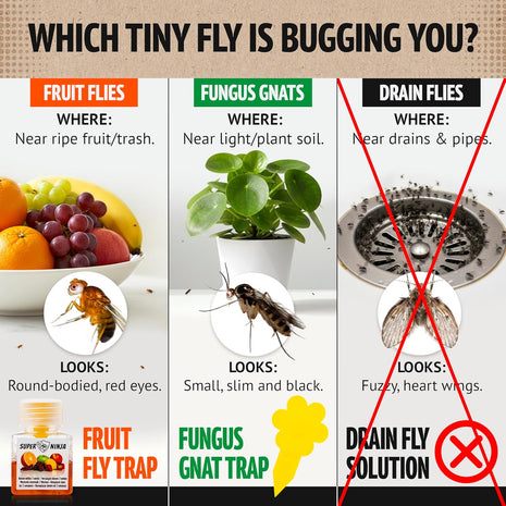 Super Ninja Fruit Fly Traps for Indoors - 4 Pack, Highly Effective Fruit Fly Catcher for Indoor Use for Home & Kitchen, Up to 3 Weeks of Performance per Bottle, Kid & Pet Friendly