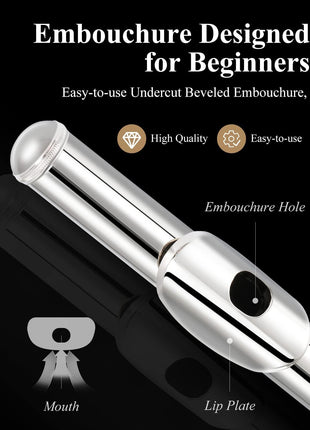 Eastar Closed Hole 16 Keys Flute for Beginner Kids Student with Cleaning Kit, Stand, Case, Gloves, Tuning Rod, Nickel, EFL-1