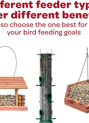 Kaytee Wild Bird Finch Food Blend, 3 lb
