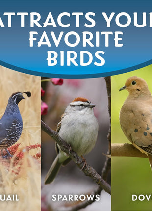 Morning Song Dove & Ground Feeding Wild Bird Seed - 7 lb. Dove, Quail & Pigeon Wild Bird Food for Outside Feeders