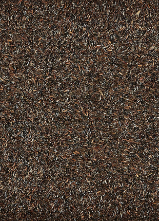 Kaytee Nyjer Wild Bird Food Seed, 5 Pound