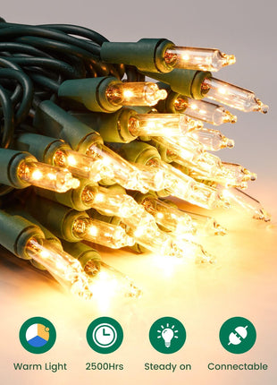 Minetom Clear Christmas String Lights 100 Count 20 Feet Incandescent Bulb Mini Lights for Indoor Xmas Tree Garland Birthday Wedding Party Festival Decoration, Green Wire